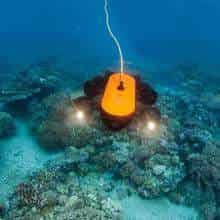 Geneinno T1 diving drone Illuminates The Reef.